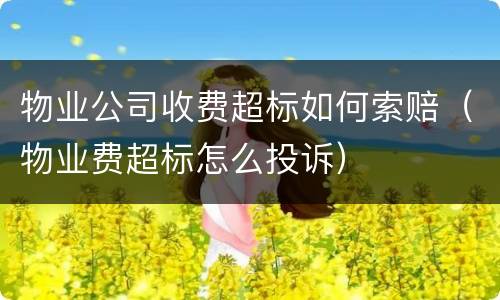 物业公司收费超标如何索赔（物业费超标怎么投诉）