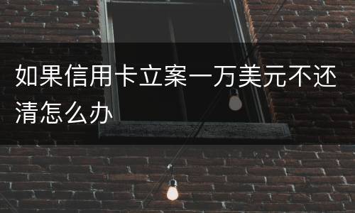 如果信用卡立案一万美元不还清怎么办
