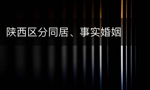 陕西区分同居、事实婚姻