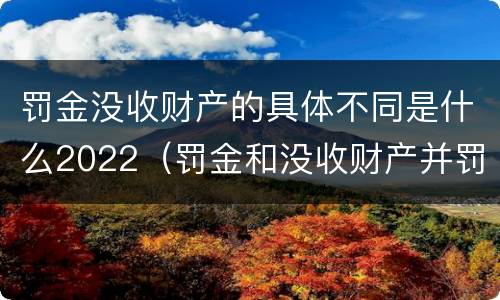 罚金没收财产的具体不同是什么2022（罚金和没收财产并罚的执行顺序）