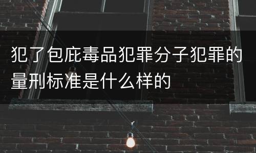 犯了包庇毒品犯罪分子犯罪的量刑标准是什么样的