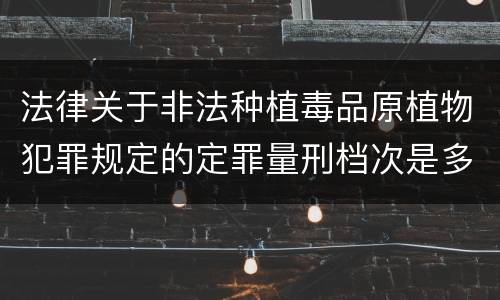 法律关于非法种植毒品原植物犯罪规定的定罪量刑档次是多少