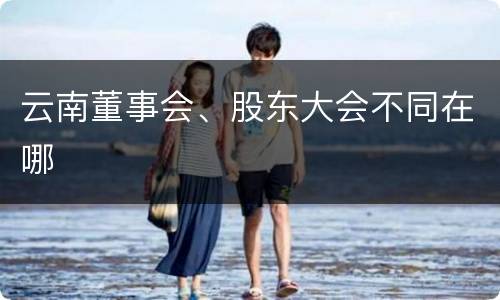 云南董事会、股东大会不同在哪