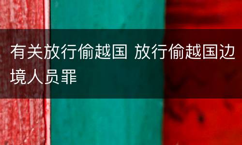 有关放行偷越国 放行偷越国边境人员罪