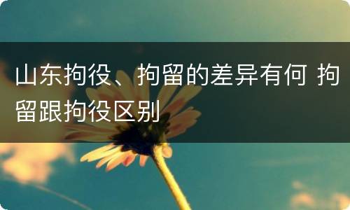 山东拘役、拘留的差异有何 拘留跟拘役区别