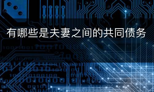 有哪些是夫妻之间的共同债务