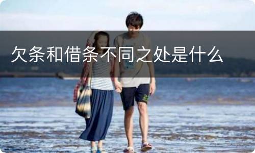 欠条和借条不同之处是什么
