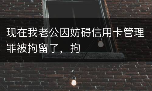 现在我老公因妨碍信用卡管理罪被拘留了，拘