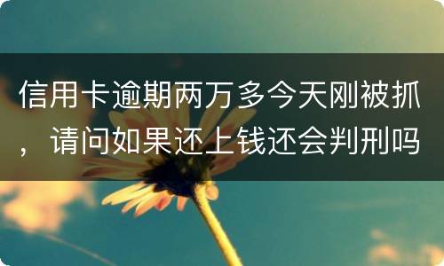 信用卡逾期两万多今天刚被抓，请问如果还上钱还会判刑吗