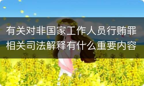 有关对非国家工作人员行贿罪相关司法解释有什么重要内容