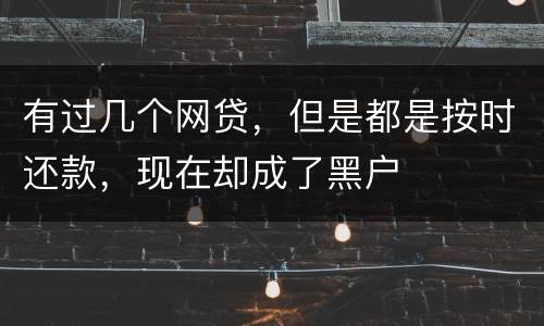 有过几个网贷，但是都是按时还款，现在却成了黑户