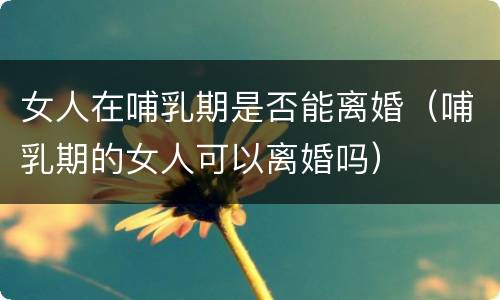 女人在哺乳期是否能离婚（哺乳期的女人可以离婚吗）
