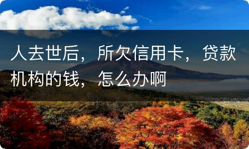 人去世后，所欠信用卡，贷款机构的钱，怎么办啊