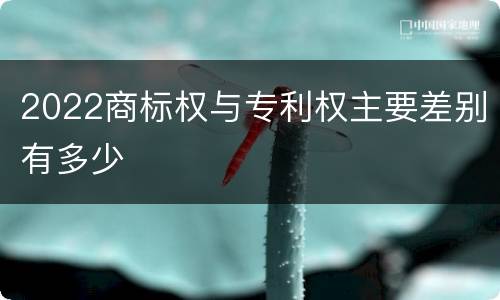 2022商标权与专利权主要差别有多少