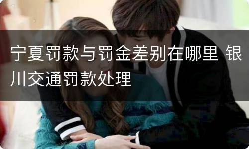 宁夏罚款与罚金差别在哪里 银川交通罚款处理
