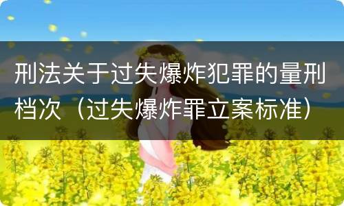 刑法关于过失爆炸犯罪的量刑档次（过失爆炸罪立案标准）