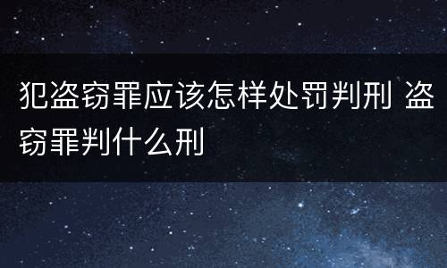 犯盗窃罪应该怎样处罚判刑 盗窃罪判什么刑