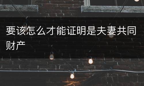 要该怎么才能证明是夫妻共同财产
