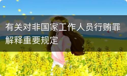 有关对非国家工作人员行贿罪解释重要规定