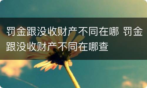 罚金跟没收财产不同在哪 罚金跟没收财产不同在哪查