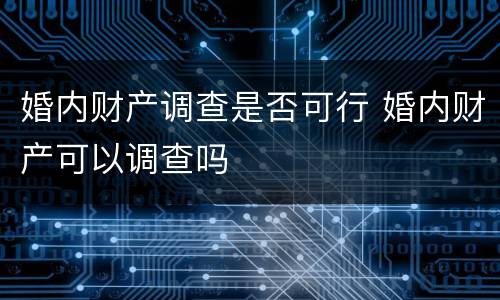 婚内财产调查是否可行 婚内财产可以调查吗