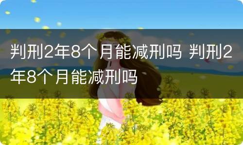 判刑2年8个月能减刑吗 判刑2年8个月能减刑吗