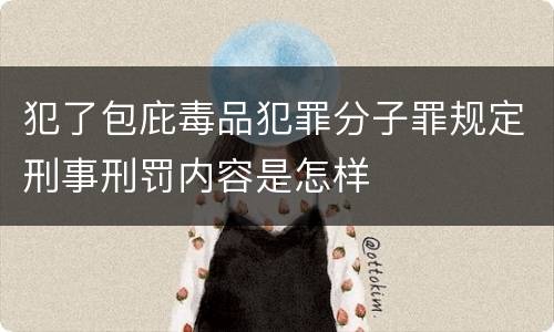 犯了包庇毒品犯罪分子罪规定刑事刑罚内容是怎样