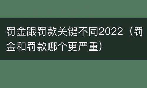 罚金跟罚款关键不同2022（罚金和罚款哪个更严重）
