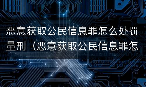 恶意获取公民信息罪怎么处罚量刑（恶意获取公民信息罪怎么处罚量刑标准）