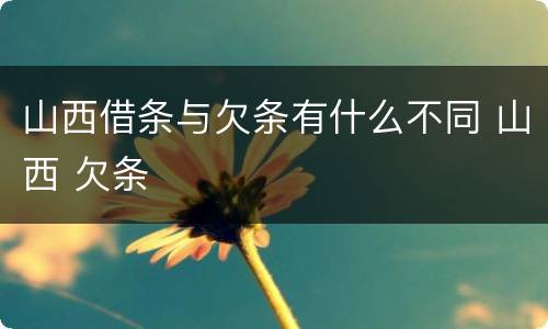 山西借条与欠条有什么不同 山西 欠条