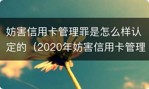 妨害信用卡管理罪是怎么样认定的（2020年妨害信用卡管理罪案例）