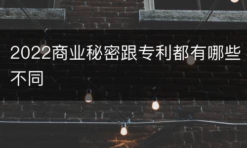2022商业秘密跟专利都有哪些不同
