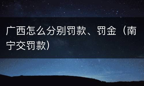 广西怎么分别罚款、罚金（南宁交罚款）