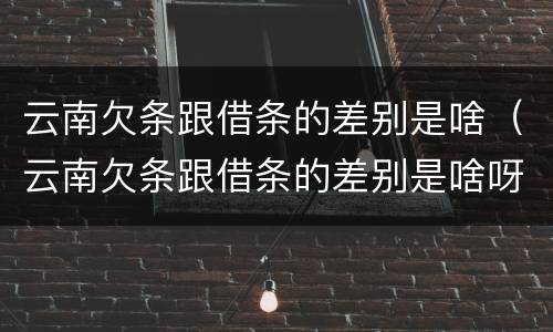 云南欠条跟借条的差别是啥（云南欠条跟借条的差别是啥呀）