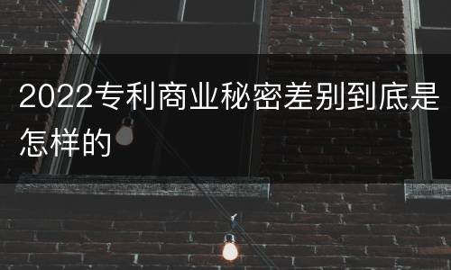 2022专利商业秘密差别到底是怎样的