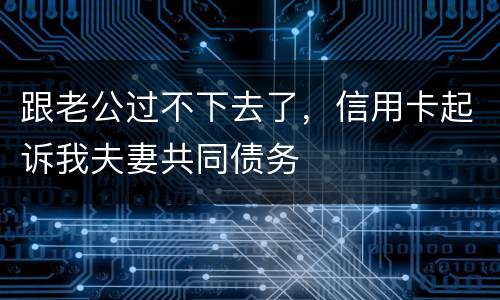 跟老公过不下去了，信用卡起诉我夫妻共同债务