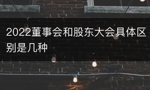 2022董事会和股东大会具体区别是几种