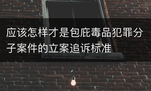 应该怎样才是包庇毒品犯罪分子案件的立案追诉标准
