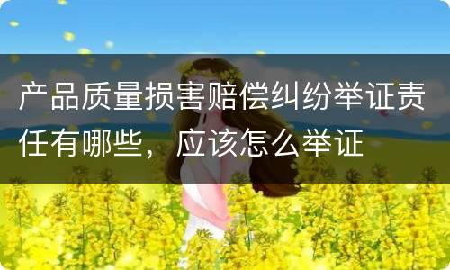 产品质量损害赔偿纠纷举证责任有哪些，应该怎么举证