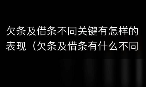欠条及借条不同关键有怎样的表现（欠条及借条有什么不同）
