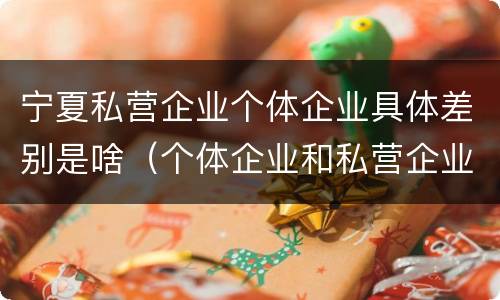宁夏私营企业个体企业具体差别是啥（个体企业和私营企业的区别）