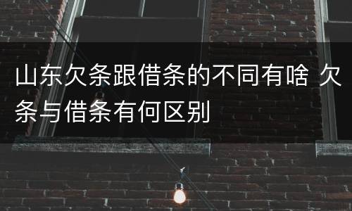 山东欠条跟借条的不同有啥 欠条与借条有何区别