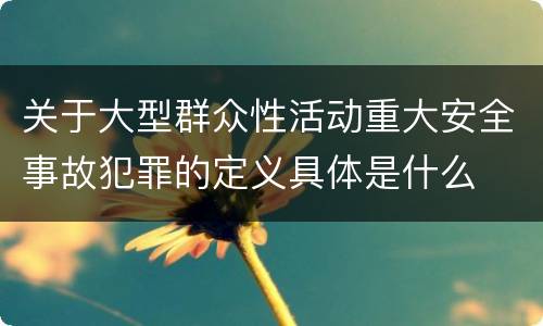 关于大型群众性活动重大安全事故犯罪的定义具体是什么