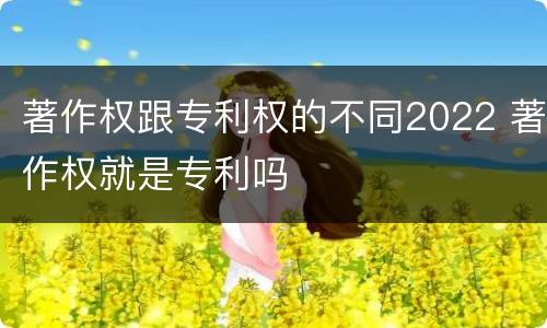 著作权跟专利权的不同2022 著作权就是专利吗