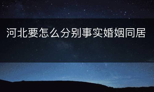 河北要怎么分别事实婚姻同居