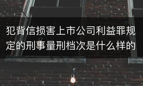 犯背信损害上市公司利益罪规定的刑事量刑档次是什么样的