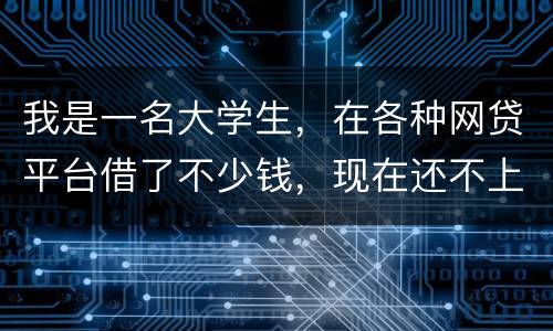 我是一名大学生，在各种网贷平台借了不少钱，现在还不上，如果不还会怎么样