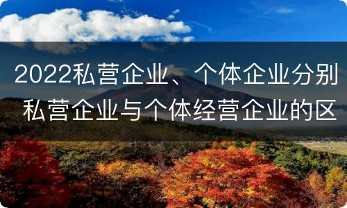 2022私营企业、个体企业分别 私营企业与个体经营企业的区别