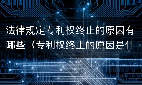 法律规定专利权终止的原因有哪些（专利权终止的原因是什么）