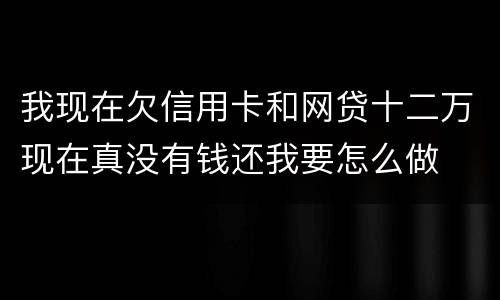 我现在欠信用卡和网贷十二万现在真没有钱还我要怎么做